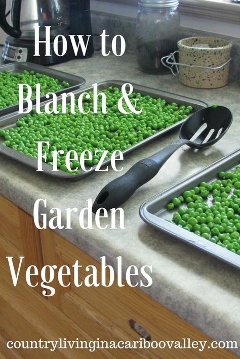 Freezing Vegetables, Canning Food Preservation, Canned Food Storage, Garden Vegetables, Garden Veggies, Frozen Veggies, Freezer Cooking, Garden Recipes, The Fence