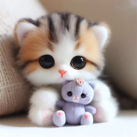 Cute Bunny Pictures, 강아지 그림, Cute Small Animals, Cats Photos, Cute Little Kittens, Cute Animals Puppies, Cute Animal Clipart, Cute Cat Wallpaper, Cute Cats Photos