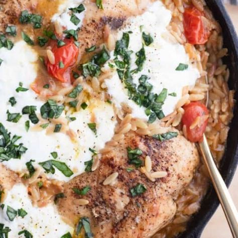 Chicken Burrata, Burrata Chicken, Tomatoes And Burrata, Gluten Free Orzo, Chicken Breast Recipes Dinners, Chicken And Orzo, Burrata Recipe, Orzo Recipes, One Pan Chicken