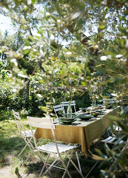 Olive Tree Garden, Olive Trees Garden, Provence Garden, French Farmhouse Decor, Tree Garden, Garden Wallpaper, Provence Style, Italian Garden, Garden Trees