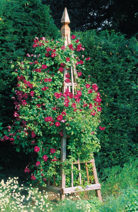 Obelisk Trellis, Diy Garden Trellis, Garden Obelisk, Diy Trellis, Vertical Herb Garden, Garden Vines, Tower Garden, Diy Pergola, Garden Trellis