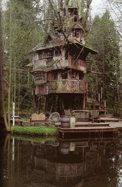 Swamp house in Mississippi USA Treeless Treehouse, Treehouse Ladder, Bedroom Playhouse, Small Treehouse, Diy Bridge, Indoor Treehouse, Rustic Treehouse, Treehouse Interior, Treehouse Kids