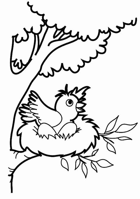 Robin Coloring Pages - Best Coloring Pages For Kids Bird Coloring, Composition Drawing, Scooby Snacks, Shark Coloring Pages, Valentines Day Coloring Page, Preschool Coloring Pages, House Colouring Pages, Spring Coloring Pages, Valentines Day Coloring