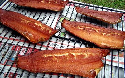 Maple Brined Smoked Rainbow Trout Trout Brine Recipe, Fish Brine Recipe, Trout Jerky, Rainbow Trout Recipe, Smoked Trout Recipe, Smoked Fish Recipe, Trout Recipe, Bradley Smoker, Trout Recipes