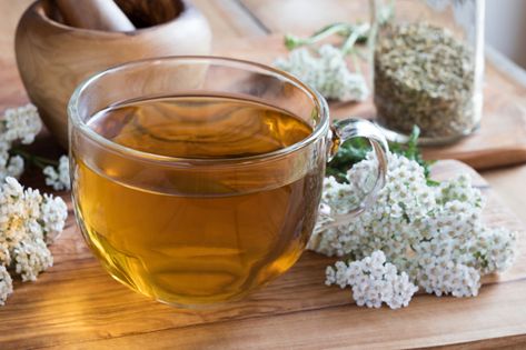 What Are Antiviral Herbs? – LearningHerbs Yarrow Uses, Yarrow Tea, Hormone Balancing Tea, Yarrow Flower, Fruit Health Benefits, Help Digestion, Upset Stomach, Medicinal Herbs, Tea Recipes