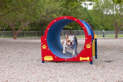 Your friendly pet product experts! We manufacture dog agility equipment, water fountains, custom fire hydrants and everything else needed for a dog park or pet-friendly community. Dog Agility Course Design, Dog Play Equipment, Dog Park Ideas, Dog Yards, Dog Slide, Dog Park Design, Dog Park Equipment, Dog Festival, Dog Daycare Business