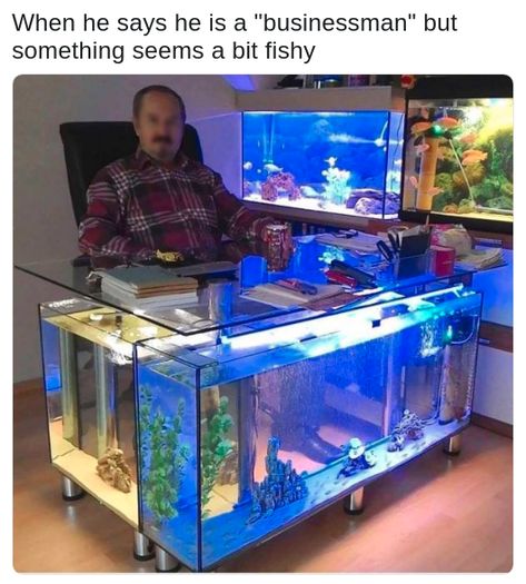 Desk Fish Tank, Amazing Aquariums, Cool Fish Tanks, Fish Tank Design, Aquarium Terrarium, Nature Aquarium, Cool Fish, Home Aquarium, Aquarium Design