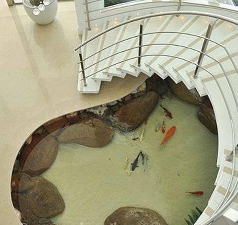 want Indoor Pond, Kolam Koi, Home Aquarium, Inspiration Kitchen, Remodel Inspiration, Seni Dan Kraf, Aquarium Design, Remodel Kitchen, Fish Pond