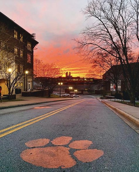 Clemson University Aesthetic, Clemson Wallpaper, Clemson Tigers Wallpaper, Clemson Campus, Lander University, College Necessities, College Tennis, College Aesthetic, Dream College