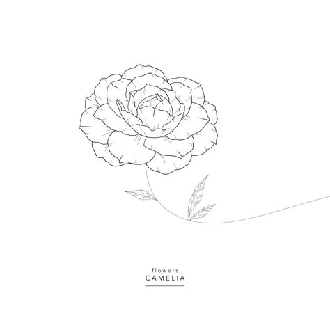 Camelia Tattoo Design, Camellia Tattoo Design, Camellia Flower Aesthetic Wallpaper, Camellia Flower Tattoo Design, Camilla Tattoo Flower, Japanese Camellia Tattoo, Camelia Drawing, Camellia Flower Drawing, Camelia Flower Tattoo