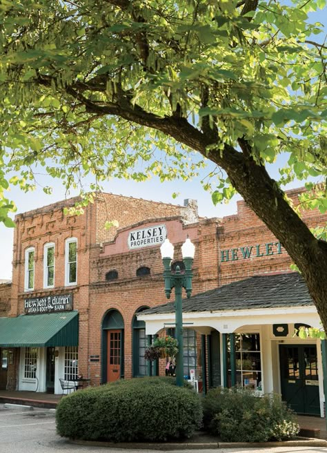 Collierville town square, TN. Kids and I visited often when we lived in TN. Collierville Tennessee, Small Town Living, Small Towns Usa, Sneak Attack, Small Town America, Small Town Life, Small Town Romance, Main Street Usa, Small Town Girl