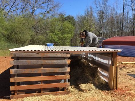 Feeder Pig Pen, Pig Pen With Pallets, Building Pig Pens, Pig Pens Diy, Diy Hog Pen, Pig Hut Ideas, Hog Pen Ideas How To Build, Farrowing Pen Pigs, How To Build A Pig Pen