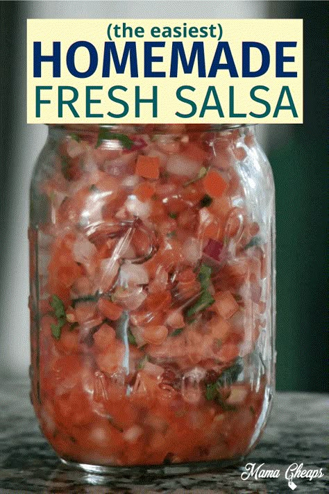 Fresh Tomato Salsa Recipe (Pico de Gallo Chipotle Copycat) | Mama Cheaps®