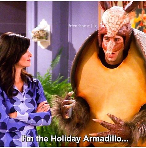 The holiday armadillo - ross gellar 😂😂 Holiday Armadillo Friends, Holiday Armadillo, Ross Geller, Friends Party, Christmas Icons, Holiday Humor, Best Series, Holly Jolly, Friends Forever