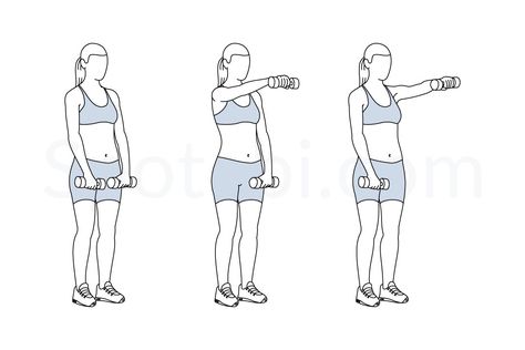 Dumbbell front raise exercise guide with instructions, demonstration, calories burned and muscles worked. Learn proper form, discover all health benefits and choose a workout. https://www.spotebi.com/exercise-guide/dumbbell-front-raise/ Dumbbell Front Raises, Front Raises Dumbbell, Spotebi Workout, Push Workout, Work Out Routines Gym, Back Fat Workout, Fat Burning Cardio, Front Raises, Calories Burned