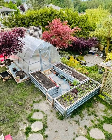 Setting Up Greenhouse, Greenhouse Set Up, Planta Greenhouses, Greenhouse Setup, Seeds Of Change, Junk Garden, Vegetables Garden, Garden Magic, Garden Inspo