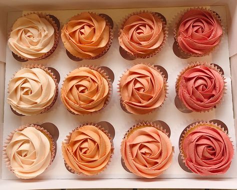 Ombré pink cupcakes roses swirls buttercream Neutral Rainbow Cupcakes, Pink Ombre Cupcakes Frostings, Fall First Birthday Cupcakes, Peach Colored Cupcakes, Pink Fall Cupcakes, Simple Boho Cupcakes, Boho Cupcakes Ideas, Boho Ombre Cake, One Sweet Peach Cupcakes