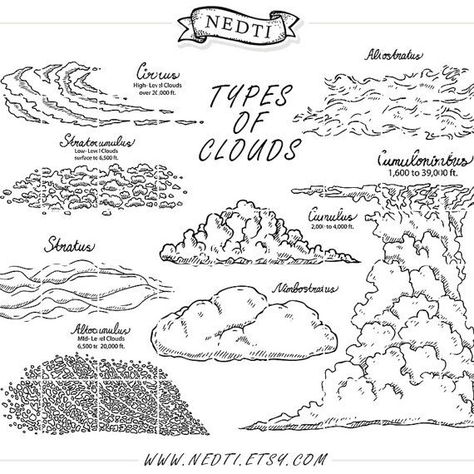 Types Of Clouds, Cirrus Cloud, Cloud Type, Cloud Tattoo, Art Clip, Water Cycle, Cloud Drawing, School Education, School Humor