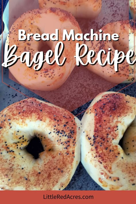 Bagel Recipe Bread Machine, Bagel Dough Recipe, Bread Machine Rolls Recipes, Bread Machine Rolls, Bread Machine Recipes Sweet, Easy Bread Machine Recipes, Bagel Bread, Best Bread Machine, Bread Maker Recipes