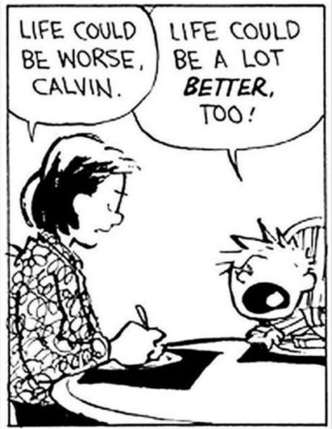 Calvin & Hobbes was my childhood Funny Photos Of People, Funny Effects, Calvin And Hobbes Comics, Could Be Worse, Funny Dp, Tv Tropes, Funny Emoji, Funny Captions, Funny Doodles