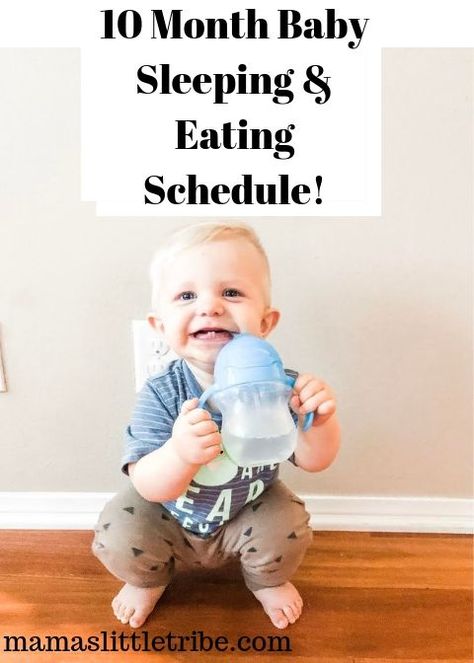 10 Month Old Schedule Feeding, 10 Month Old Feeding Schedule Formula, 10 Month Old Eating Schedule, 10 Month Old Baby Schedule, 10 Month Old Feeding Schedule, 10 Month Schedule, 11 Month Old Schedule, 10 Month Old Milestones, 10 Month Old Schedule