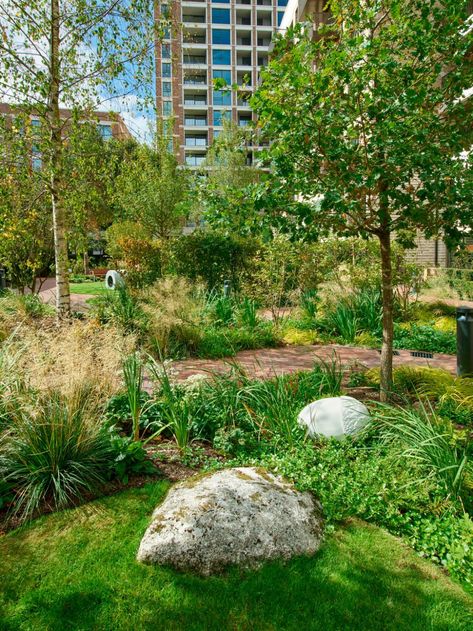 Churchman Thornhill Finch Tree Grove, Elephant Park, Ground Covering, Honey Locust, Tree Canopy, Different Plants, Roof Garden, Plant Species, Green Roof