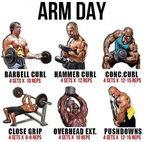 Arm Day Workout Plan! Healthy Fitness Training - Yeah We Train ! Arm Day Workout, Biceps Training, Big Arms, Gym Antrenmanları, Arm Day, Bodybuilding Workout, Weight Training Workouts, Workout Chart, Chest Workouts