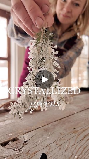 202K views · 2.6K reactions | A beautiful AND fun decor craft for adults or kids that only requires ONE ingredient? YES! My husband was making these with my kids using pipe cleaners and then we went rogue and started crystallizing everything… like these evergreens and dried orange slices!  I love the look of these and they aren’t plastic, so that’s always a win! Borax is still safe to add to the compost pile as well, so these are still compostable unlike plastic coatings. 

That being said, the crystals will break off over time if not sealed with something like acrylic spray, which WOULD make them noncompostable—so we are just going to make these every year, which isn’t a big deal because it’s so fun!

All you need is one ingredient: borax (from the laundry detergent aisle), and add some b Clear Christmas Decorations, Borax Crystal Pinecones, Borax Crystals Diy Christmas, Paper Whites For Christmas, Borax Christmas Ornaments, New Years Crafts For Adults, Borax Ornaments, Borax Crafts, Borax Crystal Ornaments