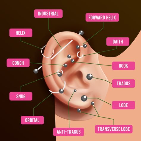 Piercings Labeled, Piercings Diagram, Piercing Diagram, Ear Piercing Diagram, Ear Piercing Places, Piercing Places, Piercing Names, Ear Diagram, Full Ear Piercings