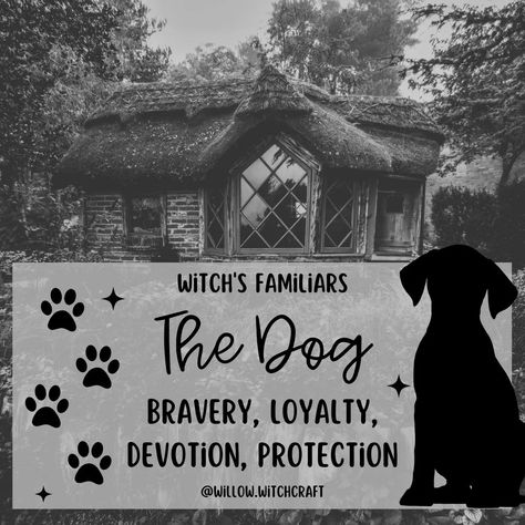 Witch's Familiars ~ The Dog 🐕 #todaysposts #topicoftheday #witchsfamiliar #witch #witchlife #familiars #animalfamiliar #dog #dogwitchfamiliar Witch Familiar, Spirit Animal Meaning, Memories Ideas, 10 Tattoo, Animal Meanings, Art Planner, Witches Familiar, Spiritual Animal, Night Illustration