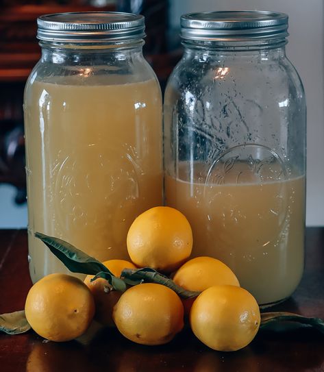 Canned Lemon Juice, Canning Fresh Lemon Juice, Canning Lemon Juice, Canning Lemons, Lemonade Concentrate Recipe, Fresh Lemon Recipes, Garden Canning, Apothecary Kitchen, Recipe Using Lemons