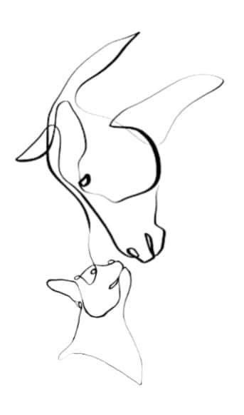 Horse And Cat Tattoo, Horse And Dog Tattoo, Horse And Dog, Horse Tattoo, Horses And Dogs, Dog Tattoo, Cat Tattoo, Tattoo Ideas, Dog Cat