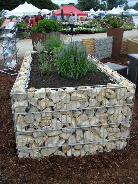 Gabion planer ~i am thinking of making this. Not sure if i really like it, but i think it will be more dog-proof than anything else in my garden... Raised Garden Designs, Container Water Gardens, Raised Bed Garden Design, Building A Raised Garden, Plants Growing, Diy Raised Garden, Garden Vines, Raised Garden Beds Diy, Have Inspiration