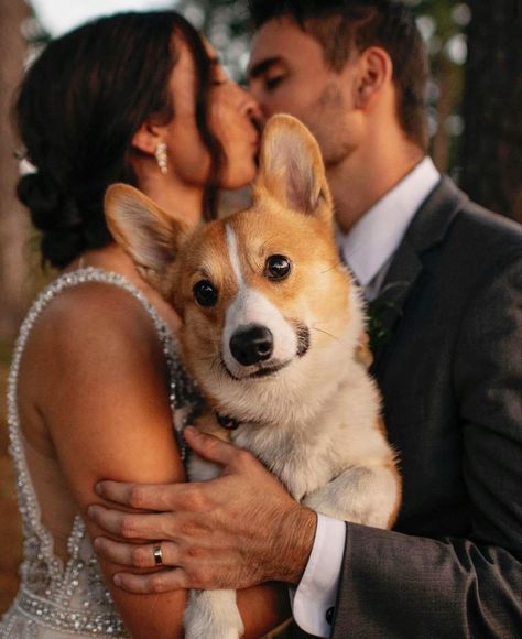 Dogs In Wedding Photos, Corgi At Wedding, Wedding Dog Photos, Artsy Wedding Photography, Dogs At Wedding, Corgi Wedding, Fun Wedding Photo Ideas, Pet Wedding Photos, Engagement Photos With Dog