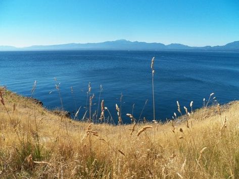 Hornby Island: 10 Best Sights! Hornby Island, Summer Island, Heavenly Places, Local Farm, Second Home, Vancouver Island, Sandy Beaches, Beautiful Islands, Tent Camping