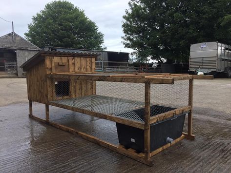 Duck And Chicken Coop, Duck And Chicken Coop Together, Easy Duck Coop, Duck Coop Ideas, Chicken Pens, Call Duck, Duck Pen, Duck Ideas, Duck Pens