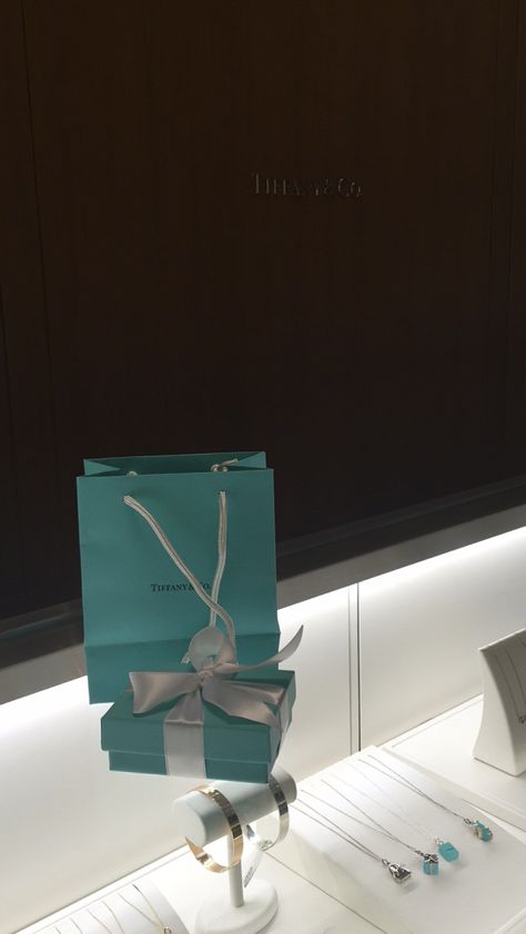 Tifanny And Co Aesthetic, Tiffany And Co Packaging, Ayla Core, Tiffany Core, Curated Aesthetic, Return To Tiffany Necklace, Tiffany Store, Air Plain, Happy Nation