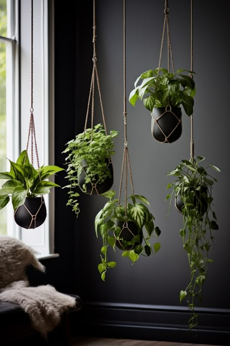 Hanging Plant Ideas to Enhance Your Interior Design - Quiet Minimal Plants Hanging In Front Of Window, Plants Hanging From Ceiling Bedroom, Plants On Wall Shelves, Inside Plant Decor Ideas, Hanging Plant Design, Windows With Hanging Plants, Hanging Plants In Room, Kitchen Hanging Plants, Hanging Plants In Window