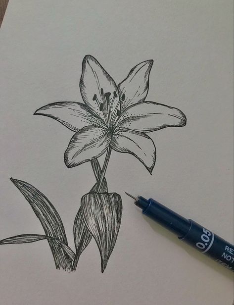 #sketch #aesthetic #fashion #painting #drawing #tiktok #pinterest #black #blackandwhite #flower #flowersketch #pencil #pencildrawing Pencil Art Drawings Aesthetic Easy Black, Black Pen Drawing Aesthetic, Drawing Ideas Flowers Pencil, Aesthetic Flower Sketch, Pen Flower Drawing, Drawing Black Pen, Pen Drawing Simple, People As Cartoons, Bush Drawing