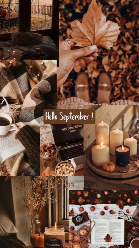 Hello September Aesthetic, Aesthetic Wallpaper Iphone Quotes, Fall Aesthetic Wallpaper Iphone, September Aesthetic, September Wallpaper, Fall Aesthetic Wallpaper, Autumn Phone Wallpaper, Fall Wallpapers, Trending On Pinterest