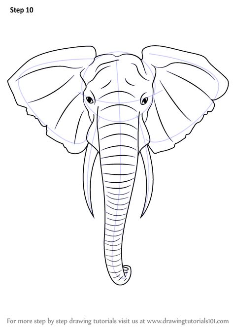 Learn How to Draw an Elephant Head (Zoo Animals) Step by Step : Drawing Tutorials Elephant Head Drawing, Draw An Elephant, Drawing Hands, Elephant Drawing, Drawing Heads, Elephant Painting, Tableau Art, Elephant Head, Elephant Art