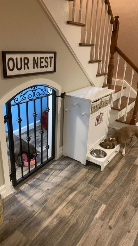 Dog Rooms Under Staircase, Dog Cave Under Stairs, Dog Condo Under Stairs, Built In Dog Kennel Under Stairs, Under Stair Dog Space, Dog Area Under Stairs, Dog Bedroom Ideas, Stairs Dog House, Dog Under Stairs