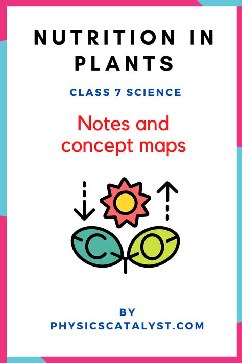 Nutrition in plants Notes and concept map for class 7 science Plant Nutrition Biology Notes, Nutrition In Animals Class 7 Notes, Nutrition In Plants Class 7 Notes, Nutrition In Plants Class 7, Class 7 Science Notes, Calender Print, Nutrition In Plants, Plant Biology, Science Chart