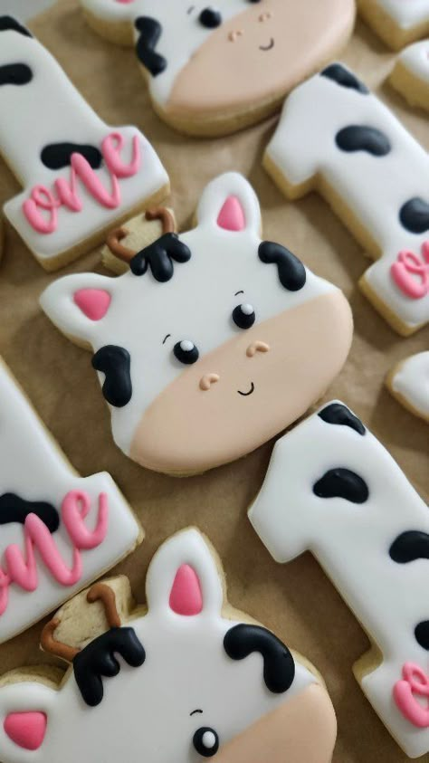 Cow cookies with a hint of PINK 🐄🩷 Cows are my favorite animals. I have a trip planned to go cuddle with Valentine over at @hidden.springs.horses soon 🤗 #CowCookies #Cow #FirstBirthday #CowBirthday #CookieDoughCookies #BristolCT #BristolAllHeart #Connecticut #ConnecticutSmallBusiness #SmallBusiness #CTBakery #CTCookier #CTMom #CTParents #CTCookier #HartfordCounty #CTBirthdayParties #CTCookies #CustomCookies #SugarCookies #SugarCookieMarketing #DecoratedCookies #CookieDecorating | Cookie D Cow 1st Birthday Cookies, Cow Royal Icing Cookies, Cow Sugar Cookies Decorated, Cow Themed Cookies, Holy Cow I’m One Girl, Cow Cookies Decorated, Pink Cow Cake, Cow Print Cookies, Cow Sugar Cookies