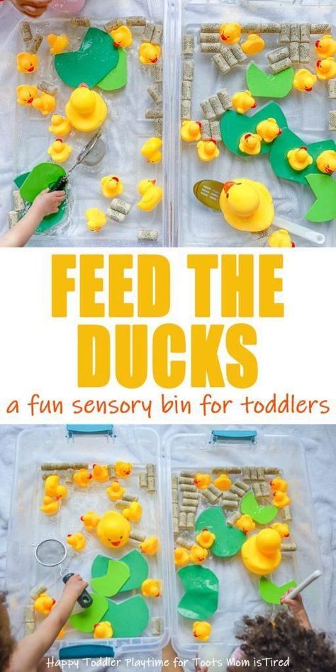 Feed the Ducks Sensory Bin for Toddlers | fun sensory bin ideas for toddlers with rubber duckies. Sensory bins for one year olds, two year olds, and three year olds #toddlers #sensorybins #sensorybinideas Sensory Bin For Toddlers, Sensory Bin Ideas, Toddler Sensory Bins, Baby Sensory Play, Rubber Duckies, Sensory Activities Toddlers, Toddler Sensory, Sensory Boxes, Sensory Bin