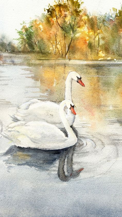 Original watercolor painting by Taya Zaikina Swan Watercolor, Swan Artwork, Swan Drawing, Nature Sketch, Bath Art, Watercolor Sketch, Bird Drawings, Watercolor Bird, Watercolor Artist