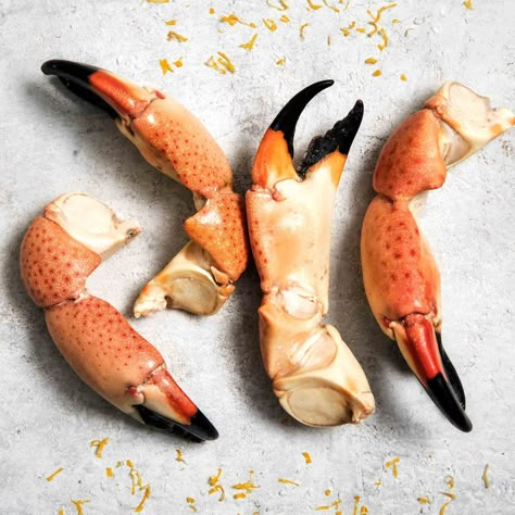 Crab Claw Tattoo, Oddities Cabinet, Crab Pincers, Stone Crab Claws, Claw Tattoo, Crab Illustration, Stone Crab, Crab Claw, Sea Crab