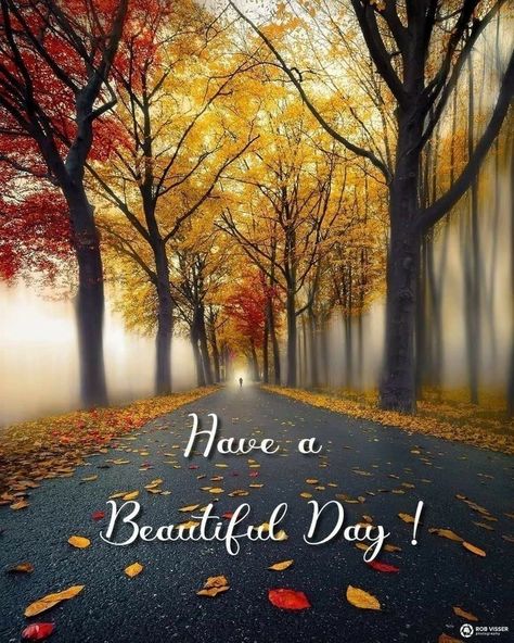 Good Morning Fall Images, Good Morning Fall, Gud Morning Images, Good Morning Animals, Good Morning Massage, Inspirational Good Morning Messages, Fall Pics, Quote Images, Beautiful Good Morning