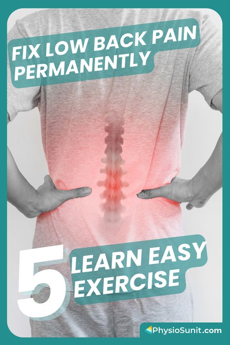 Whatever exercises we are going to learn is aimed to strengthen the weak muscle of the upper back and lower back and stretch stiff muscles. However, in severe back pain taking rest is the best. After the severe pain subsides, you can follow these exercises. How To Reduce Back Pain, How To Release Your Lower Back, Exercises For Arthritic Back, Exercises For Bulging Disc In Lower Back, How To Strengthen Back Muscles, Workouts For Bad Backs, Physical Therapy For Lower Back Pain, How To Fix Lower Back Pain, How To Stretch Lower Back