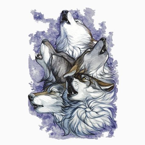 Caine Husky, Wolf Eyes, Wolf Love, Canine Art, Wolf Drawing, Wolf Spirit, Beautiful Wolves, Wolf Tattoos, Anime Wolf